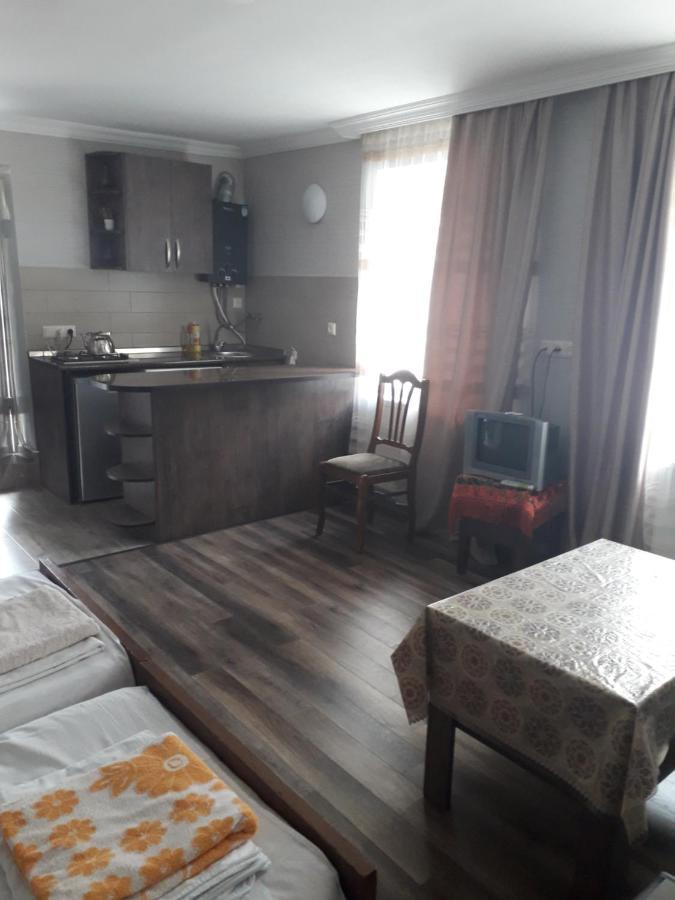 Apartament Ninati Borjomi Exterior photo